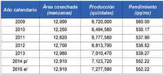 Principales departamentos productores: La producción nacional se encuentra distribuida de la siuiente forma: Jutiapa (20%), Baja Verapaz (20%), Chiquimula (11%), Guatemala (8%), Zacapa (7%), El