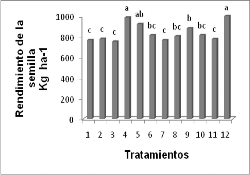 Gráficos 7 y 8: Rendimiento de la semilla en el primer año (a, b, c), medias con letras no comunes en una misma columna difieren por Duncan con P>0.05.