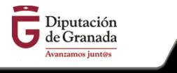 Granada El Área de Cultura del Ayuntamiento de Íllora junto a la Peña Cultural y Flamenca
