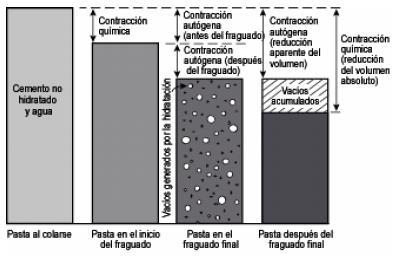 Cambios de volumen Contracción intrínseca en la pasta de cemento 77 Fuente: