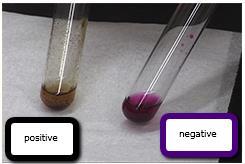Es otra prueba química usada para detectar insaturaciones alifáticas.