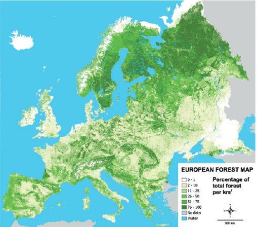 1. La industria forestal europea en un mundo en mutación Los bosques en la Unión Europea Superficie: El área forestal comunitaria cubre aproximadamente 176 millones ha (35% del territorio