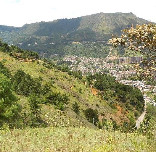 5 2. Situación actual de las laderas en el sector no urbanizado próximo a Pinares de Oriente La presión urbanística ha tenido como consecuencia