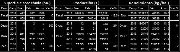 Sin embargo la producción se incrementó en Huachon que se incrementó en 0% (1313 t), en Ninacaca que se incrementó en 0% (1180 t) y en Ticlacayan que se incrementó en 48% (295 t).
