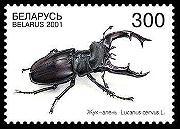 2001 Marzo 22 : Coleoptera (Michel: 403-404) (Scott :