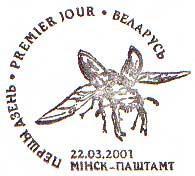 2001 Marzo 22 : Coleoptera, primer día de
