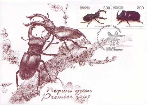 Coleoptera : Lucanidae : Lucanus cervus +