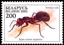 2002 Marzo 20 : Hormigas (1 valor emitida en