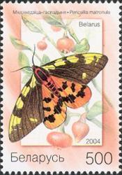 Lepidoptera : Nymphalidae :