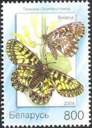 Lepidoptera : Arctiidae :