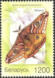 Lepidoptera : Papilionidae :