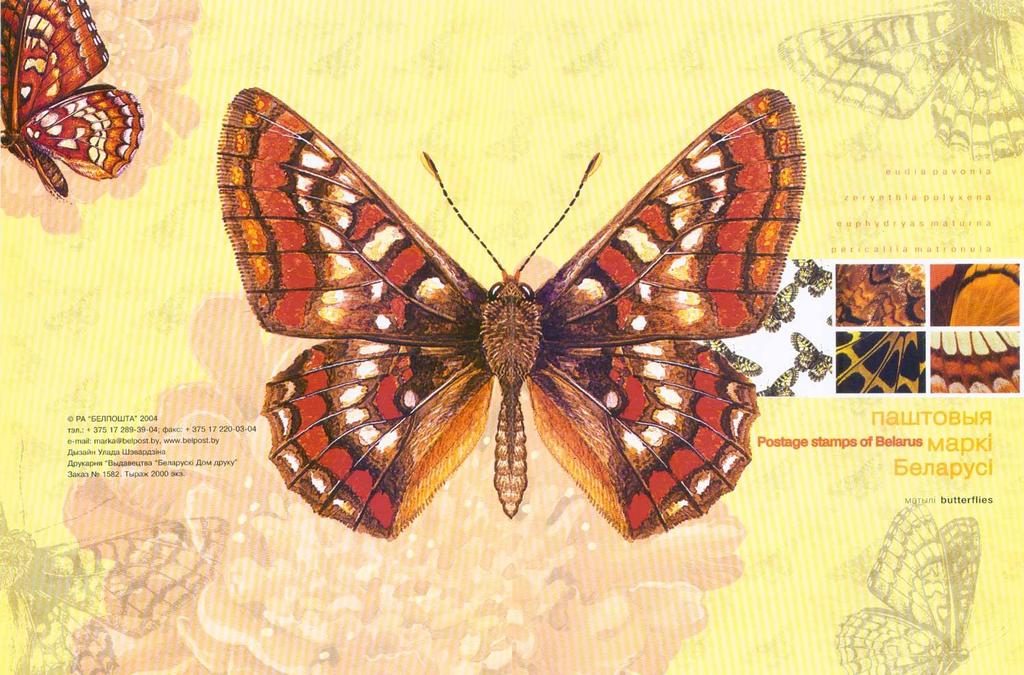 2004 Septiembre 10 : Mariposas, carnet (Scott : 534-537).