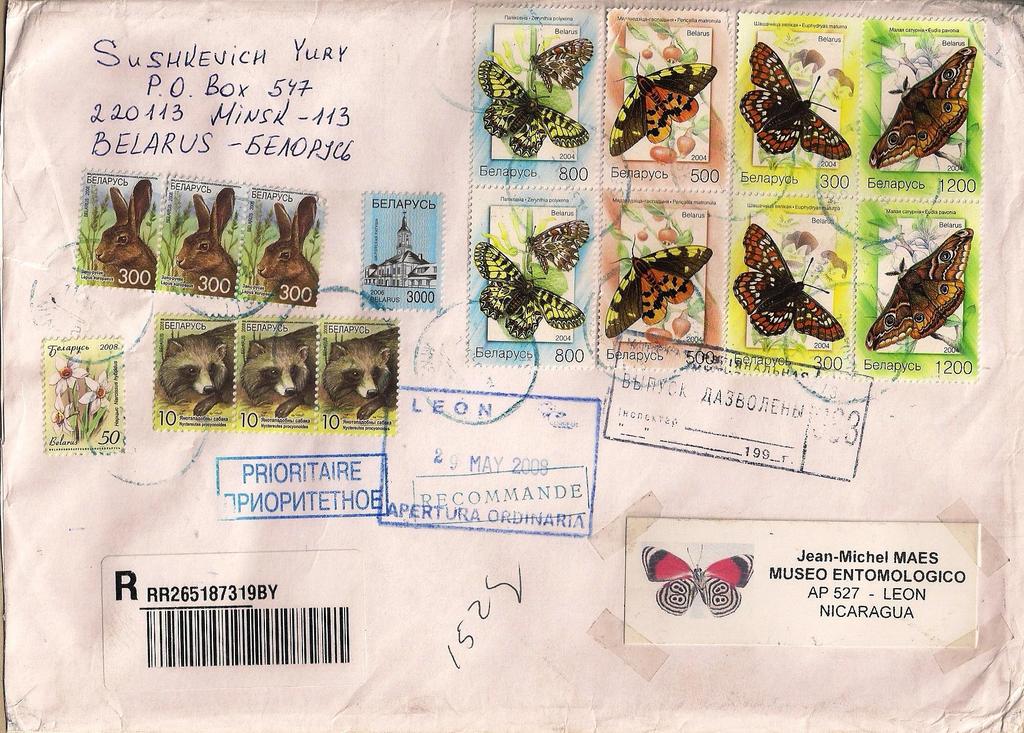 2008 : Mariposas 2004 (Scott : 534-537), sobre carta certificada de Minsk a León, Nicaragua (29-V- 2008), con sellos addicionales flores (Scott: xxx), Alcaldia de Shklov (Scott 2006: xxx), liebre