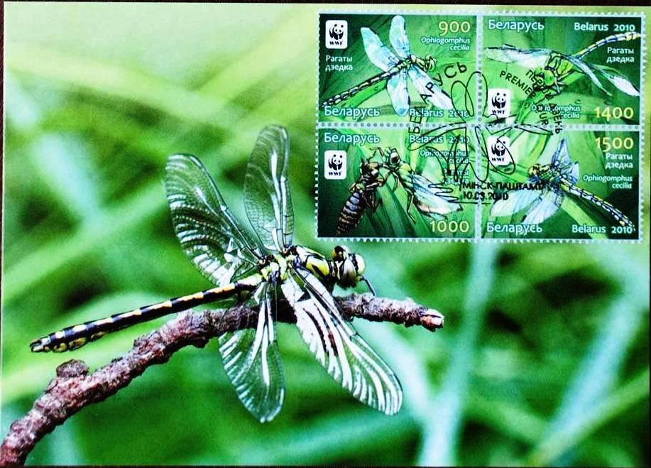 2010 Septiembre 10 : WWF, Odonata (bloque de 4 valores) (Scott : xxx), primer dia
