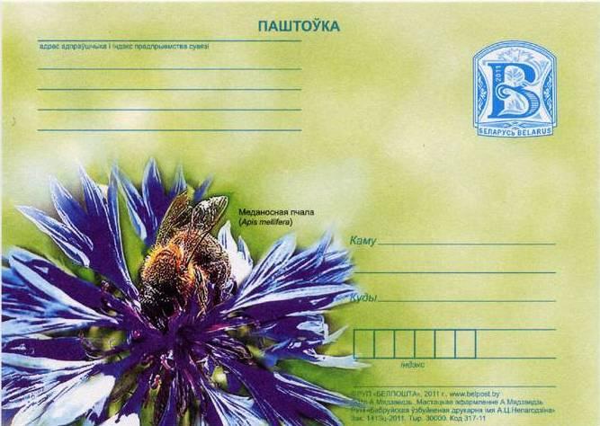 2011 : Entero postal con ilustración de abeja (Scott : xxx). Hymenoptera : Apidae: Apis mellifera.