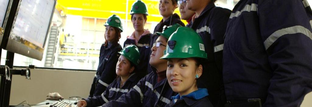 Conclusiones La minería es el gran empleador del país, la cifra de asegurados ante el IMSS en 2011 ascendió a 309 mil 722 trabajadores, 26 mil fuentes de empleo más que en 2010.