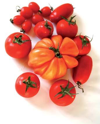 TOMATE Situación del tomate de industria: Balance de la producción a nivel mundial La producción mundial en 2010 ha descendido respecto a la del año pasado en un 12,00% pasando de 42.507 a 37.