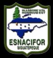 Unidos para Innovar II Congreso de Investigación Forestal, Áreas Protegidas y Vida Silvestre de Honduras II CONIFOR 2015 El