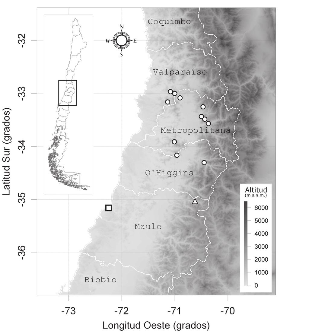 Nueva especie de Bipinnula: BRAVO-MONASTERIO, P. ET AL. FIGURA 3. Mapa de ubicación geográfica y altitudinal de la poblaciones de Bipinnula gabriel (cuadrado), Bipinnula plumosa var.