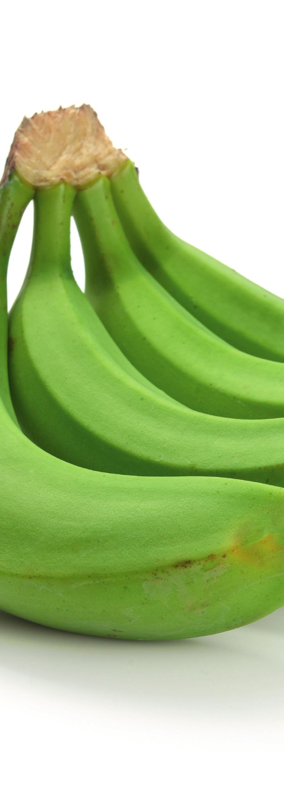 MERCOSUR PRINCIPALES PRODUCTOS EXPORTADOS El principal producto de exportación a MERCO- SUR fue banano. En volumen, el principal producto continuó siendo banano.