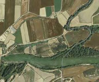 Recuperación del espacio fluvial y creación de hábitat de visón en Soto del Manolo