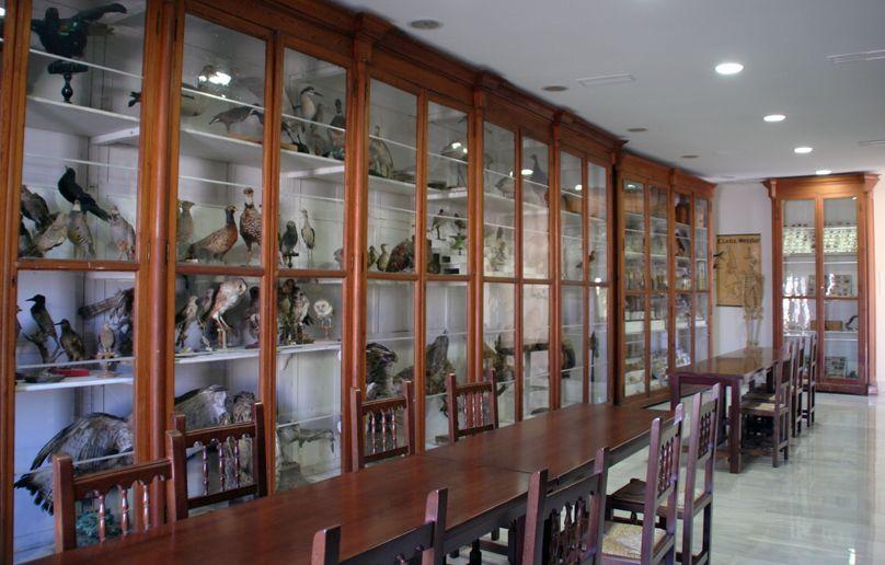 Este gabinete data del siglo XIX y es el único de sus