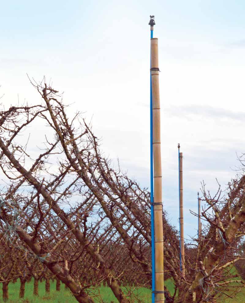 DURAZNO - BRASIL Xcel-Wobblers se instalaron en un patrón triangular a 12 x 12 m (39 x 39 pies) y a 1,38 bar (20 psi).