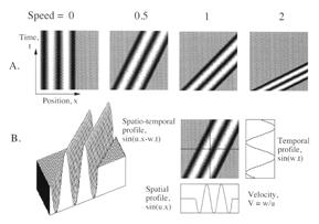 explícita de locales Resuperación de la velocidad a partir de gradientes espaciales y temporales δ I = I 2 I1 I δ I I δ I x = vt