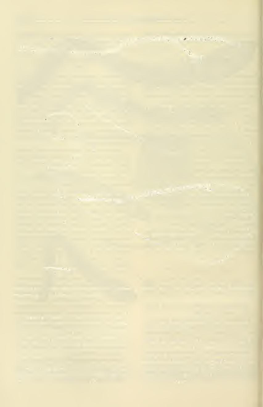 44 Rev. Chilena Ent. 16, 1988 Figuras 7 a 9: 7, Mitad basal del ala anterior de Notoprymma igniarius sp. n.