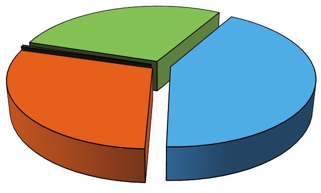 Por actividades específicas, la actividad comercio absorbió el 93,7% de las remuneraciones, y la actividad de mantenimiento y reparación de vehículos, el 6,3%; respecto al excedente de explotación