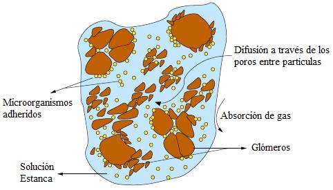 (a) Granos de mineral oxidado (b) Granos de mineral sulfurado (c) Sección transversal de una