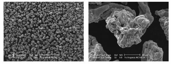 Figura 2.10: Micrografía SEM-SE de polvo de hierro NC 100.