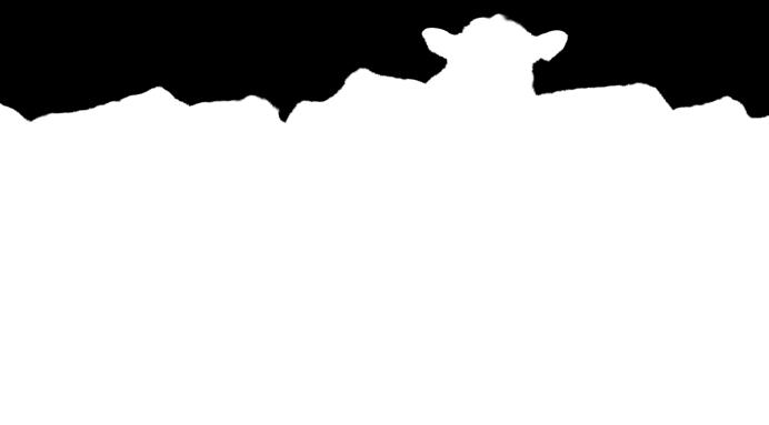 Dada la necesidad de abastecer con toros otros establecimientos familiares, que habían sustituido la raza Shorthorn por la Hereford, en Santo Domingo comenzamos con la producción de toros ingresando