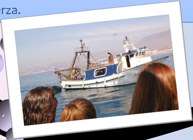 TURISMO Actividades y productos ofrecidos a los visitantes de las zonas costeras o con desarrollo de la acuicultura,