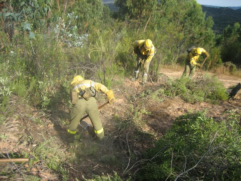 sus respectivos servicios de emergencia, realizan simulacros de incendio forestal, con el objetivo de verificar el desarrollo operativo del plan