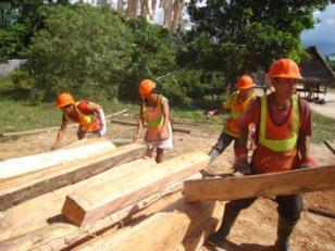Constitución de la Asociación indígena de manejadores de bosques Amazónicos (AIMBA), con la finalidad de articular esfuerzos y