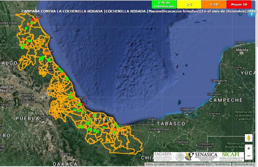 Figura 3. Distribución de la cochinilla rosada. En el siguiente mapa se observa la distribución de la cochinilla rosada al mes de diciembre en el estado de Veracruz (Fuente: SICAFI, 2016).