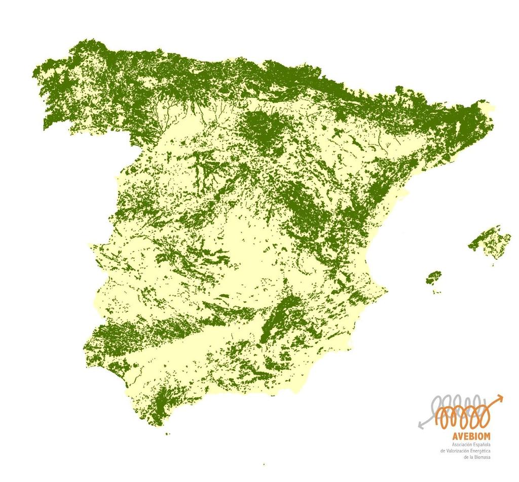 La biomasa forestal en España Superficie forestal Española es de 27.664.