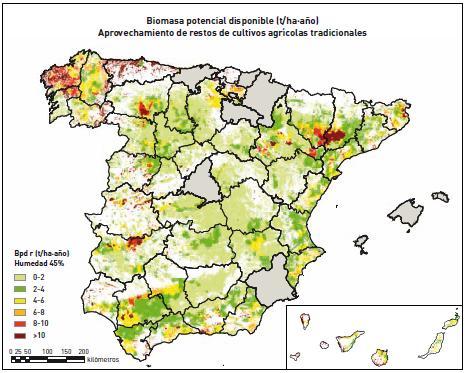 La biomasa agrícola en España Fuente: