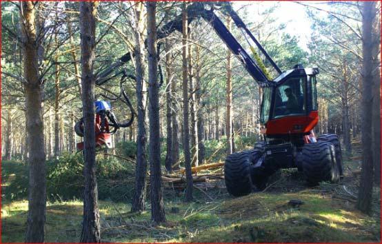 económicos Fomentar agrupación forestal: la elaboración de planes de ordenación, la certificación forestal y la trazabilidad,