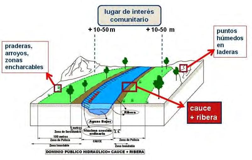 Figura 6: Zonas de muestreo principales para anfibios en el LIFE MedWetRivers. Fuente: Web Confederación Hidrográfica del Duero. Modificación:.J.Morales.