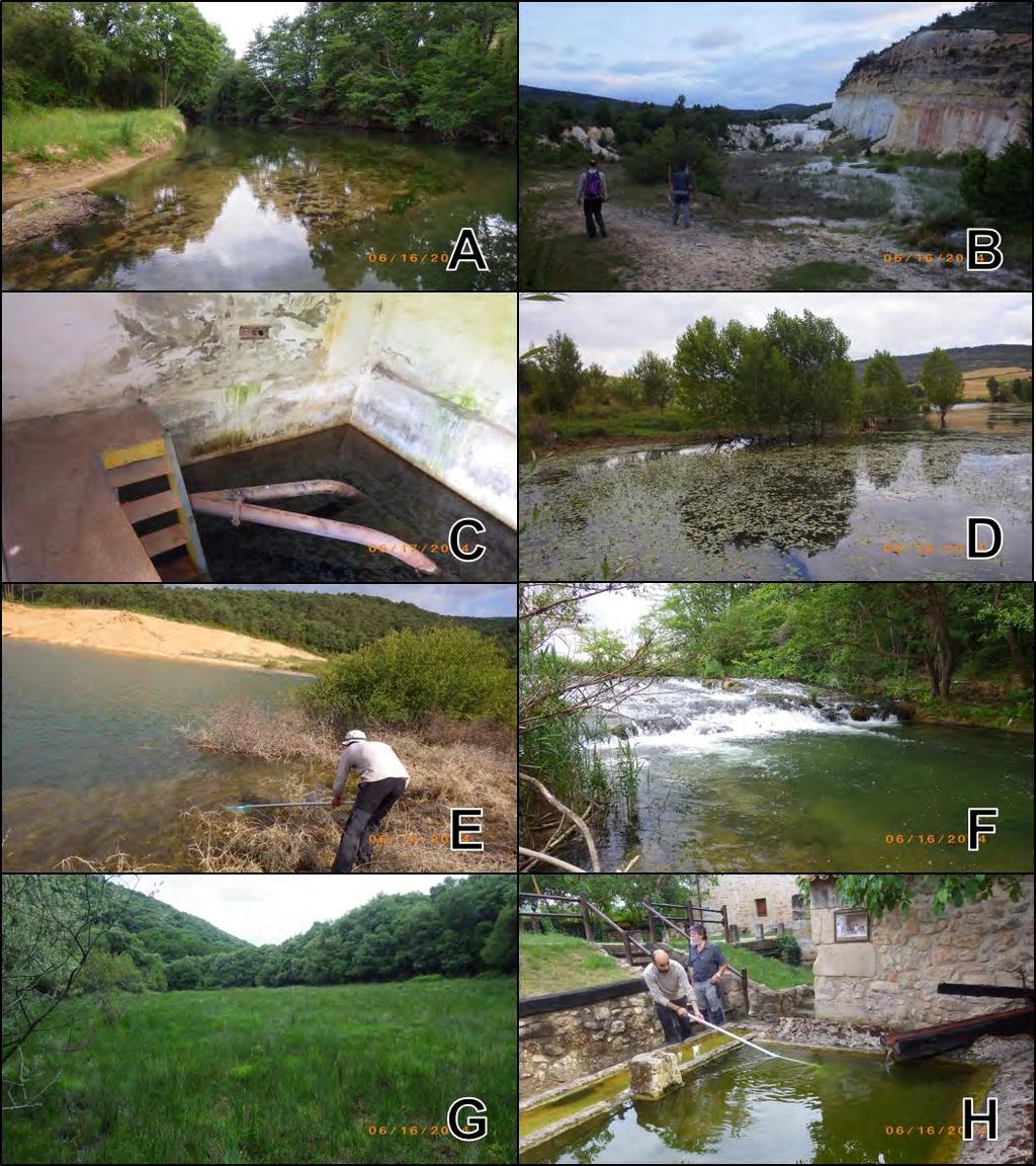 Figura 108. Zonas de muestreo en el LIC del río Ayuda. A: Río Ayuda en Argote. B: Mina abandonada en Albaina.