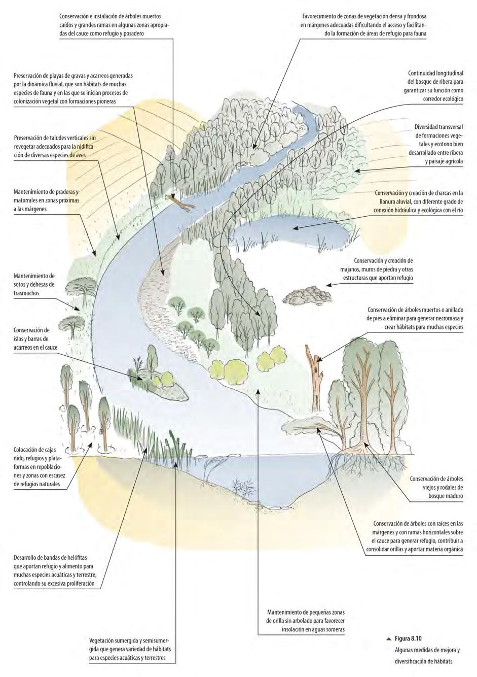 Figura 130. Medidas de gestión y restauración del hábitat ribereño para la fauna.