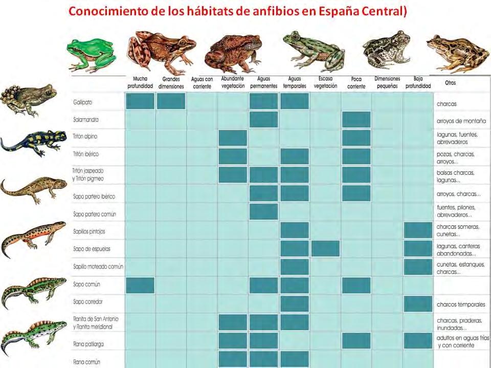 Figura 15. Hábitats típicos de anfibios en España Central. Modificado de Manual de Creación de charcas. Comunidad de Madrid.