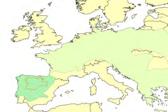 Figura 70. Fuente: izquierda, Distribución en Europa del complejo Hyla arborea (Sillero et al.