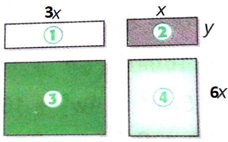 11. Las expresiones que representan el perímetro y el área del apartaestudio son respectivamente: a. P = 2x + y + 1/3y ; A = 2x + y b. P = 2x + y ; A = 3xy c. P = 4x + 2y ; A = 2xy d.