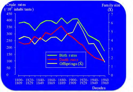Transición Demográfica y tamaño de familia en Lanciego Alfonso-Sánchez et al (2003) Journal of