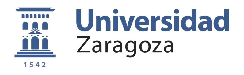 Anexo I Resolución de la Gerencia de la Universidad de Zaragoza sobre colaboración en proyectos o contratos de investigación y estudios propios El artículo 39.