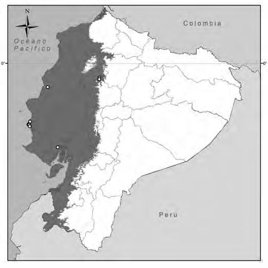 P. Moscoso et al. (2012): Diclidurus albus en Ecuador 177 Figura 4. Mapa binario (ausencia-presencia) de distribución potencial (área gris) de Diclidurus albus en Ecuador.