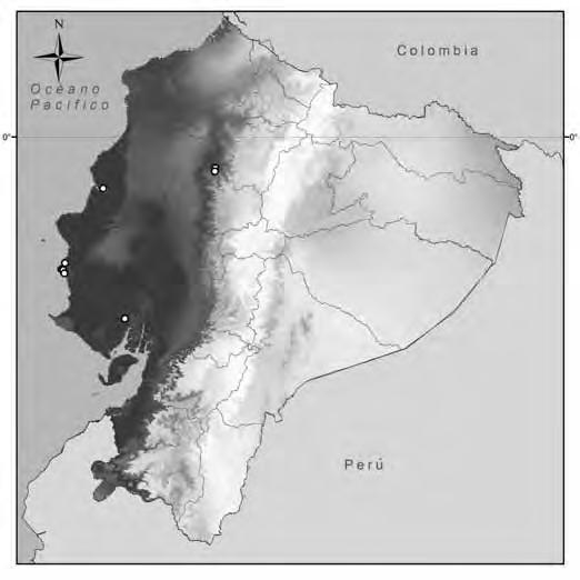 176 Investigación y conservación sobre murciélagos en el Ecuador Figura 3. Distribución potencial de Diclidurus albus en Ecuador.